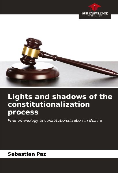 Lights and shadows of the constitutionalization process: Phenomenology of constitutionalization in Bolivia