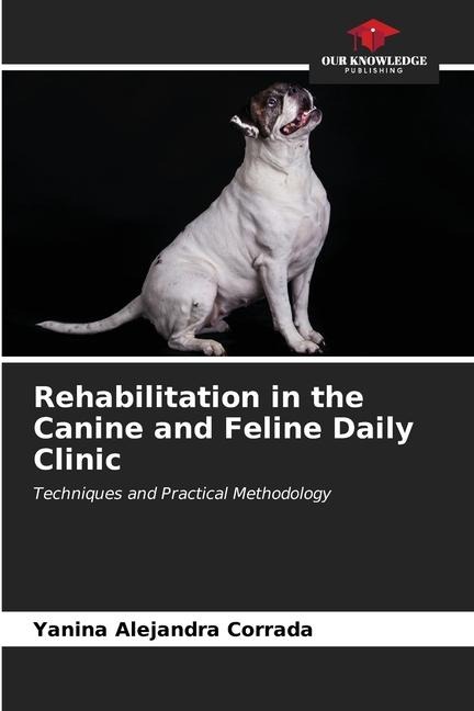 Rehabilitation in the Canine and Feline Daily Clinic: Techniques and Practical Methodology