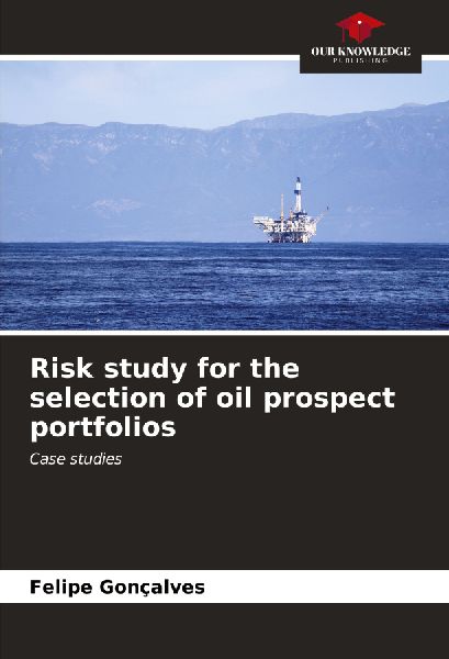 Risk study for the selection of oil prospect portfolios: Case studies