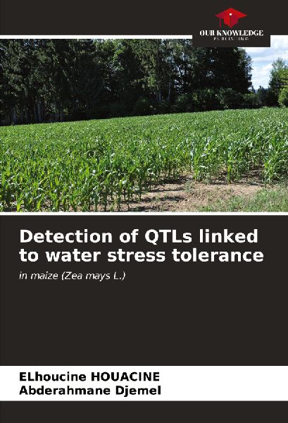 Detection of QTLs linked to water stress tolerance: in maize (Zea mays L.)
