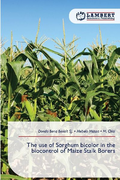 The use of Sorghum bicolor in the biocontrol of Maize Stalk Borers