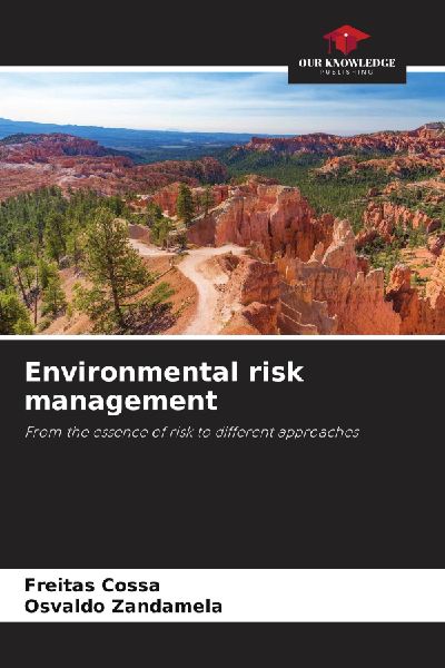 Environmental risk management: From the essence of risk to different approaches