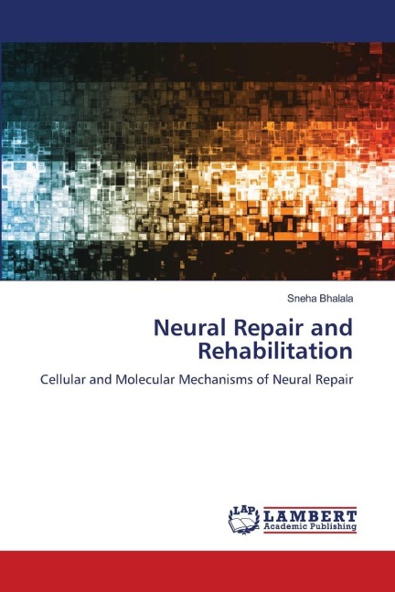 Neural Repair and Rehabilitation: Cellular and Molecular Mechanisms of Neural Repair