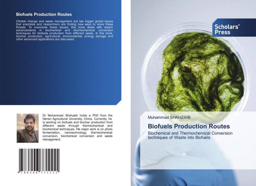 Biofuels Production Routes: Biochemical and Thermochemical Conversion techniques of Waste into Biofuels