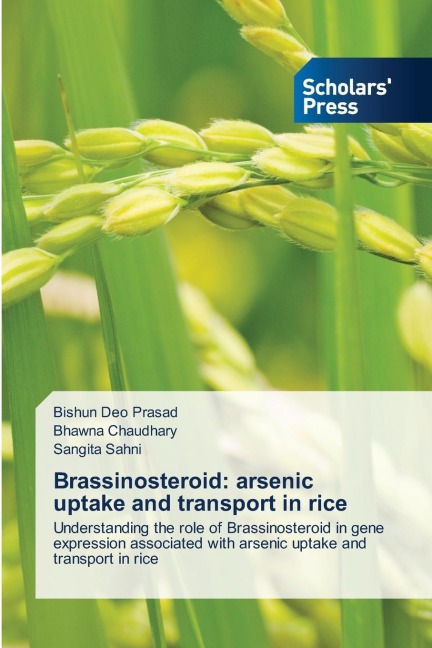 Brassinosteroid: arsenic uptake and transport in rice: Understanding the role of Brassinosteroid in gene expression associated with arsenic uptake and transport in rice
