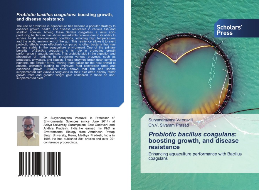 Probiotic bacillus coagulans: boosting growth, and disease resistance: Enhancing aquaculture performance with Bacillus coagulans