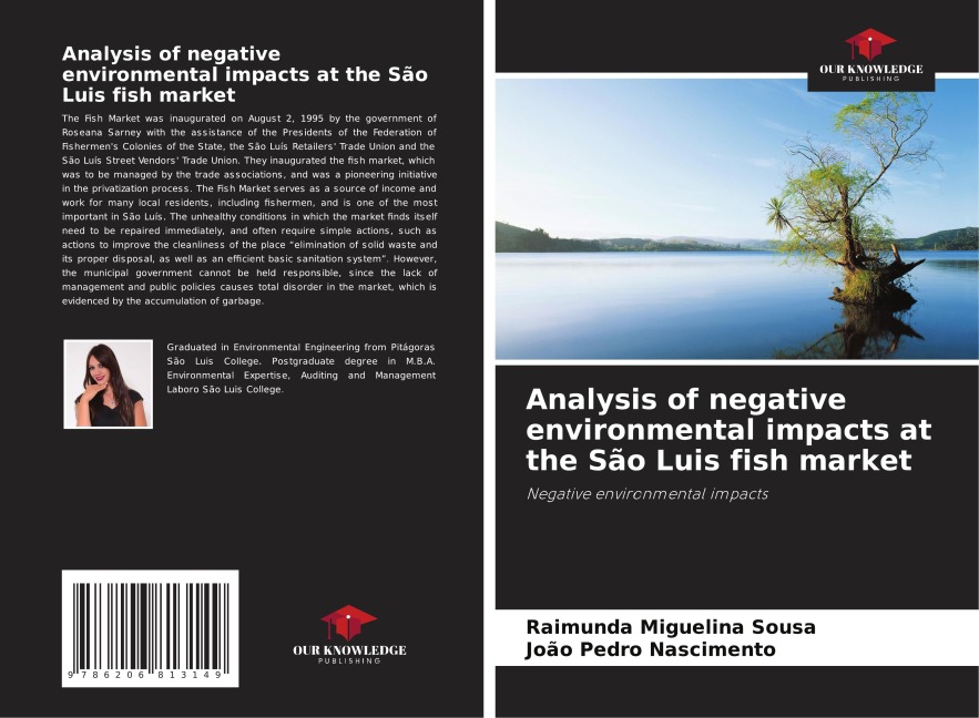Analysis of negative environmental impacts at the São Luis fish market: Negative environmental impacts