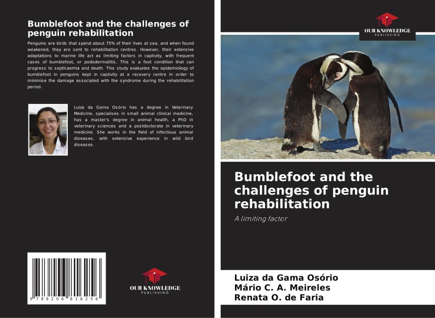 Bumblefoot and the challenges of penguin rehabilitation: A limiting factor