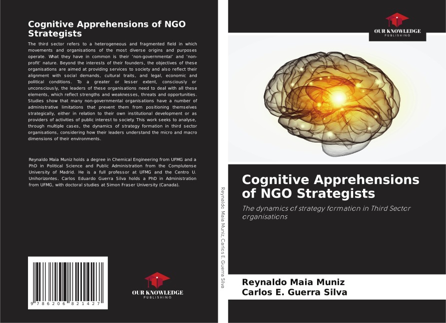 Cognitive Apprehensions of NGO Strategists: The dynamics of strategy formation in Third Sector organisations