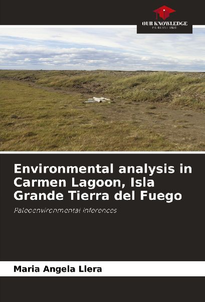 Environmental analysis in Carmen Lagoon, Isla Grande Tierra del Fuego: Paleoenvironmental Inferences