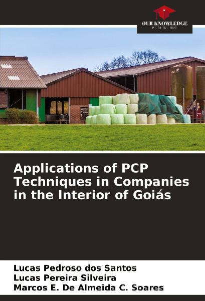 Applications of PCP Techniques in Companies in the Interior of Goiás