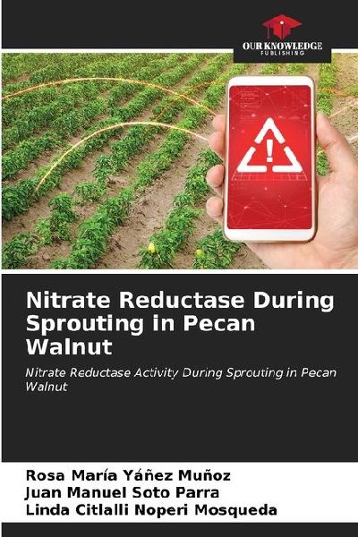 Nitrate Reductase During Sprouting in Pecan Walnut: Nitrate Reductase Activity During Sprouting in Pecan Walnut