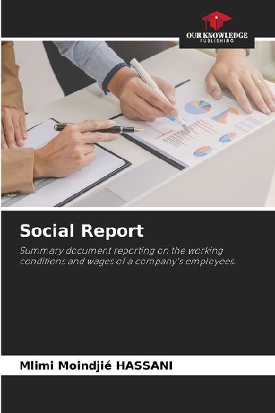 Social Report: Summary document reporting on the working conditions and wages of a companys employees.