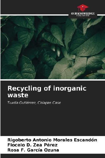 Recycling of inorganic waste: Tuxtla Gutiérrez, Chiapas Case