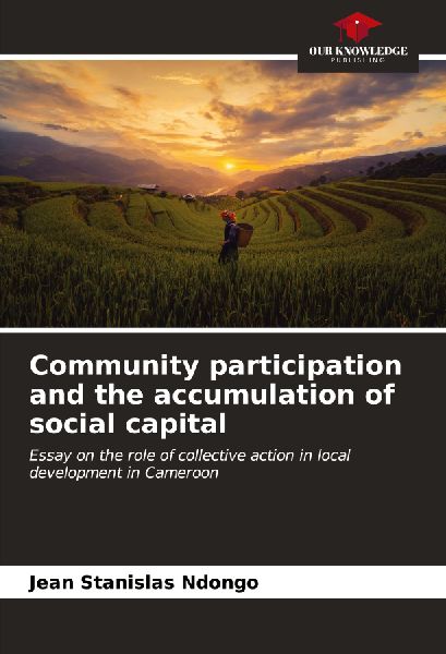 Community participation and the accumulation of social capital: Essay on the role of collective action in local development in Cameroon