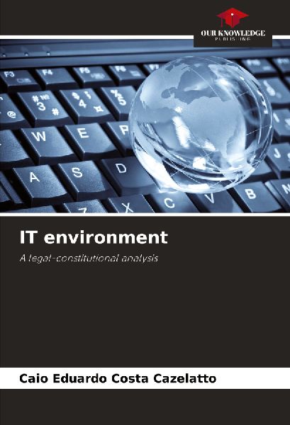 IT environment: A legal-constitutional analysis