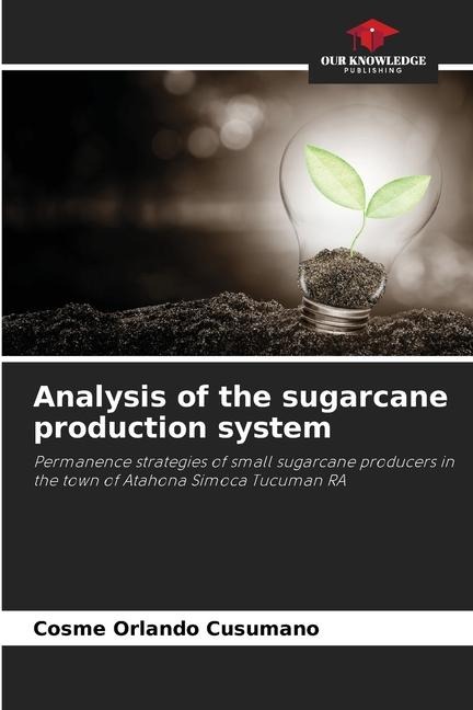 Analysis of the sugarcane production system: Permanence strategies of small sugarcane producers in the town of Atahona Simoca Tucuman RA