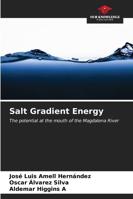 Salt Gradient Energy: The potential at the mouth of the Magdalena River