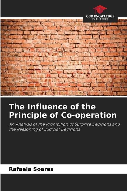 The Influence of the Principle of Co-operation: An Analysis of the Prohibition of Surprise Decisions and the Reasoning of Judicial Decisions