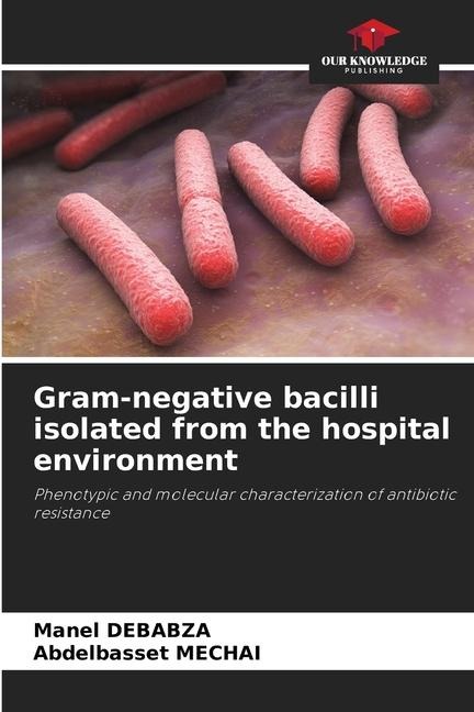 Gram-negative bacilli isolated from the hospital environment: Phenotypic and molecular characterization of antibiotic resistance