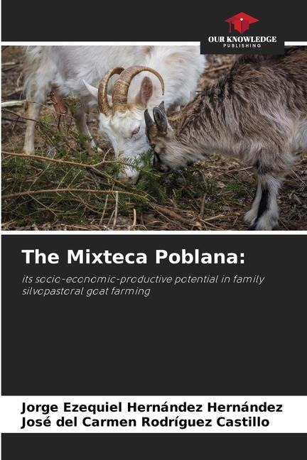 The Mixteca Poblana:: its socio-economic-productive potential in family silvopastoral goat farming
