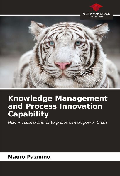 Knowledge Management and Process Innovation Capability: How investment in enterprises can empower them