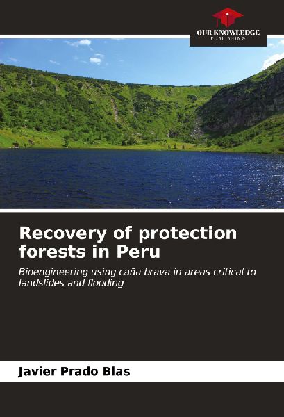 Recovery of protection forests in Peru: Bioengineering using caña brava in areas critical to landslides and flooding