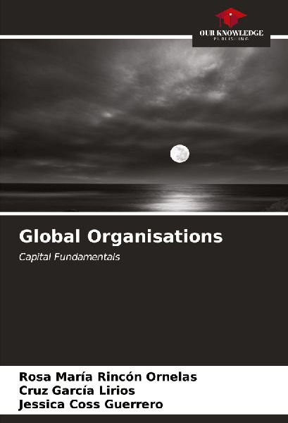 Global Organisations: Capital Fundamentals