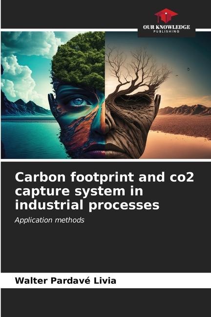Carbon footprint and co2 capture system in industrial processes: Application methods