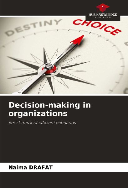 Decision-making in organizations: Benchmark of efficient equations