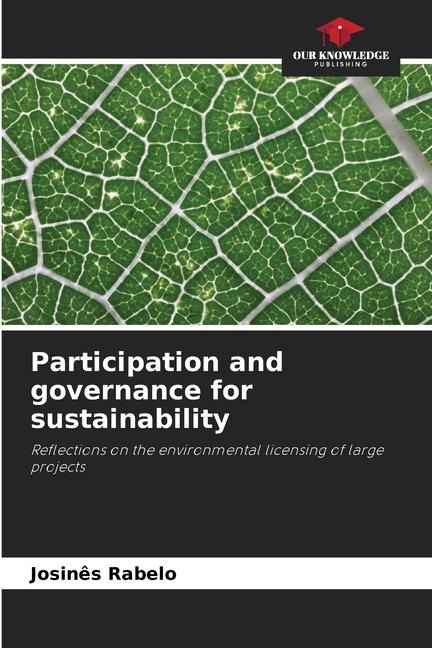 Participation and governance for sustainability: Reflections on the environmental licensing of large projects