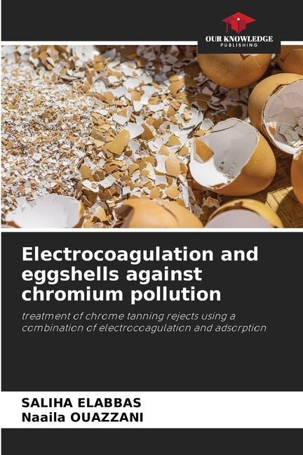 Electrocoagulation and eggshells against chromium pollution: treatment of chrome tanning rejects using a combination of electrocoagulation and adsorption