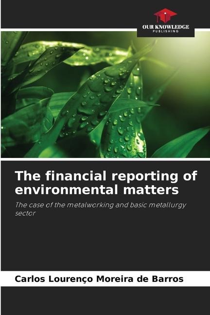 The financial reporting of environmental matters: The case of the metalworking and basic metallurgy sector