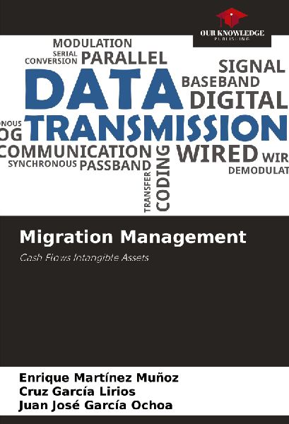 Migration Management: Cash Flows Intangible Assets