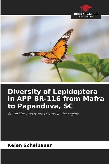 Diversity of Lepidoptera in APP BR-116 from Mafra to Papanduva, SC: Butterflies and moths found in the region