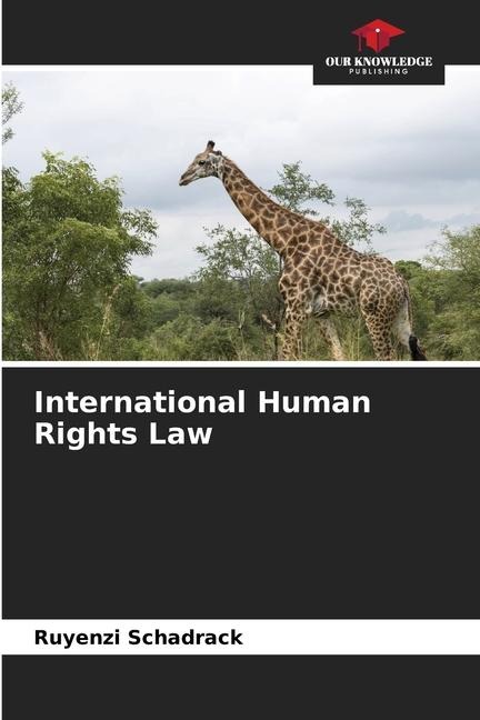 International Human Rights Law