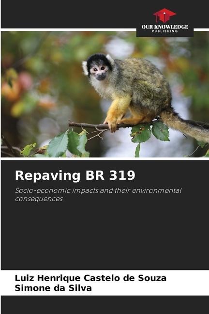 Repaving BR 319: Socio-economic impacts and their environmental consequences