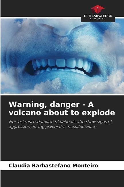 Warning, danger - A volcano about to explode: Nurses representation of patients who show signs of aggression during psychiatric hospitalization