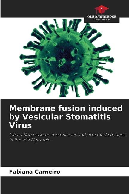Membrane fusion induced by Vesicular Stomatitis Virus: Interaction between membranes and structural changes in the VSV G protein