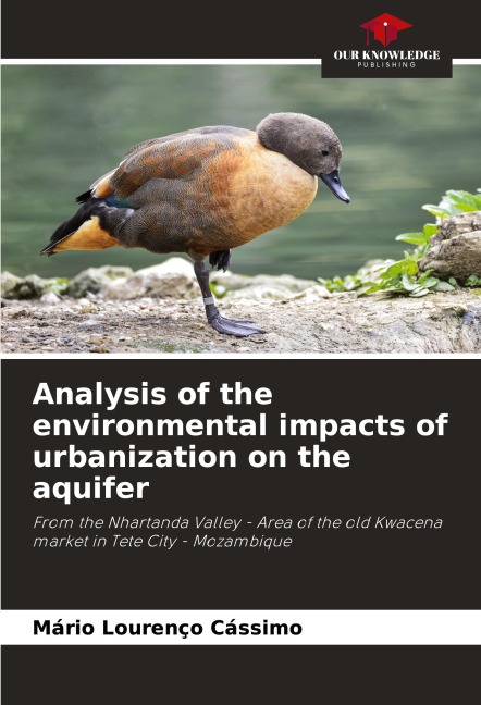 Analysis of the environmental impacts of urbanization on the aquifer: From the Nhartanda Valley - Area of the old Kwacena market in Tete City - Mozambique