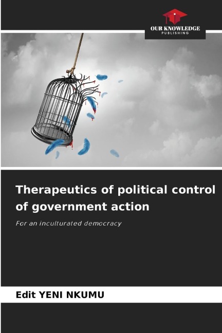 Therapeutics of political control of government action: For an inculturated democracy