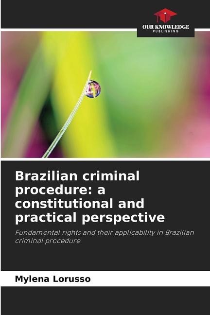 Brazilian criminal procedure: a constitutional and practical perspective: Fundamental rights and their applicability in Brazilian criminal procedure