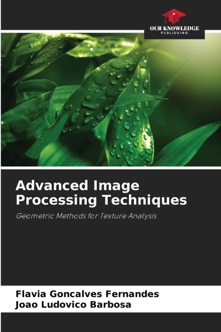 Advanced Image Processing Techniques: Geometric Methods for Texture Analysis