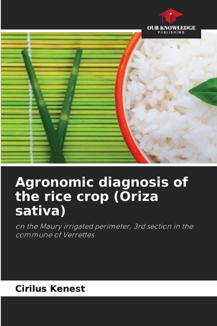 Agronomic diagnosis of the rice crop (Oriza sativa): on the Maury irrigated perimeter, 3rd section in the commune of Verrettes