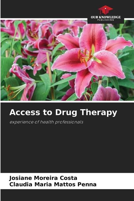 Access to Drug Therapy: experience of health professionals