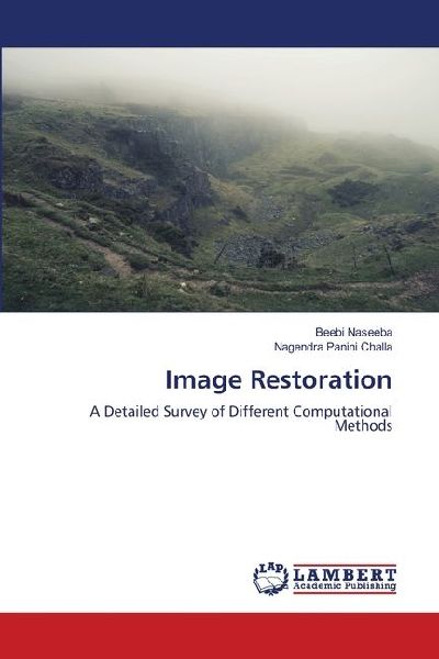 Image Restoration: A Detailed Survey of Different Computational Methods
