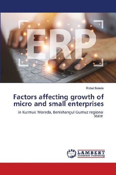 Factors affecting growth of micro and small enterprises: in Kurmuk Woreda, Benishangul Gumuz regional state