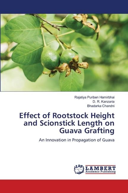 Effect of Rootstock Height and Scionstick Length on Guava Grafting: An Innovation in Propagation of Guava