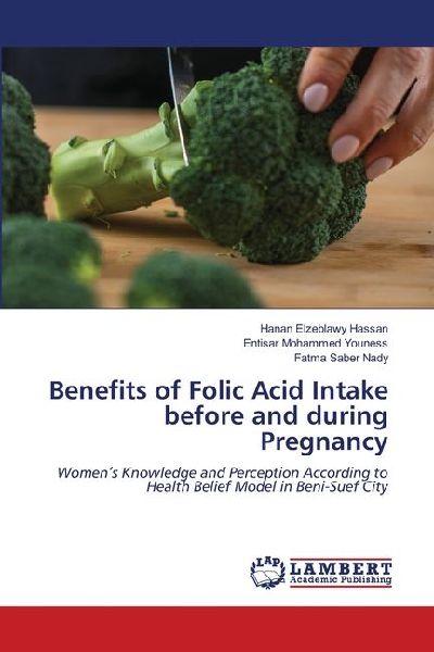 Benefits of Folic Acid Intake before and during Pregnancy: Womens Knowledge and Perception According to Health Belief Model in Beni-Suef City
