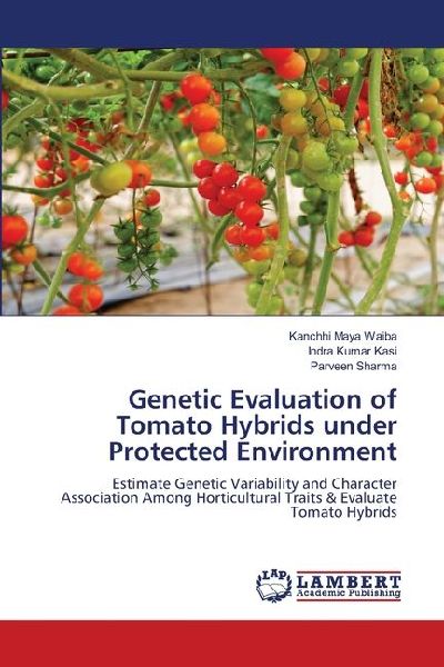 Genetic Evaluation of Tomato Hybrids under Protected Environment: Estimate Genetic Variability and Character Association Among Horticultural Traits & Evaluate Tomato Hybrids